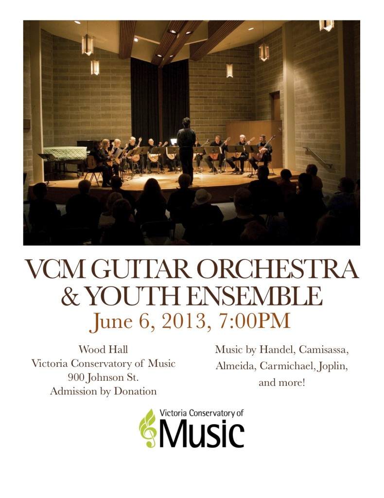 orchestra-youth-2013