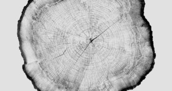 Concentric Rings by the Victoria Guitar Trio